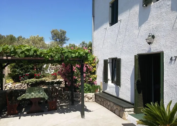 House Viskic