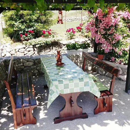 House Viskic Hébergement de vacances