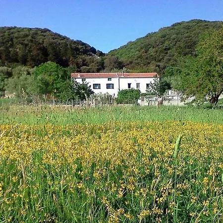 House Viskic Dom wakacyjny Supetarska Draga